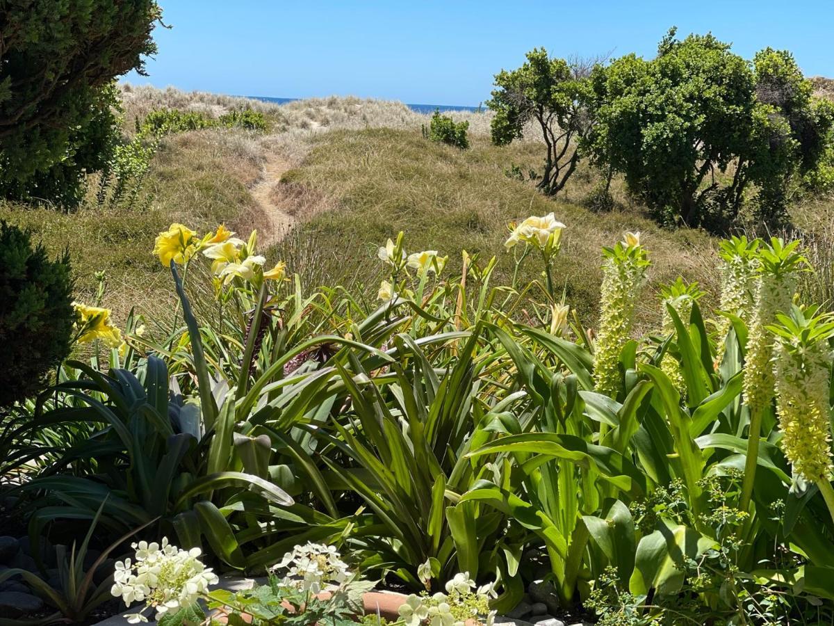 Absolute Beach Mount Maunganui Εξωτερικό φωτογραφία