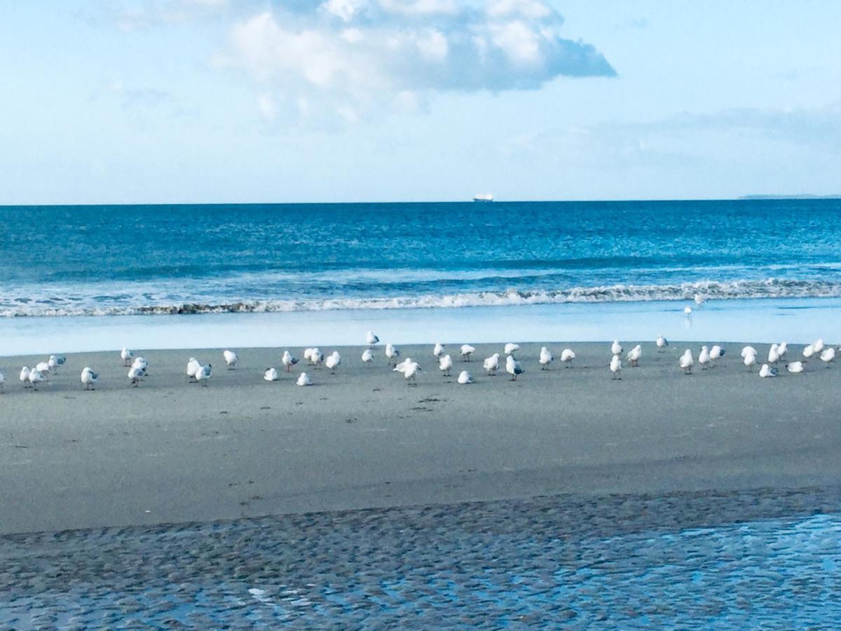 Absolute Beach Mount Maunganui Εξωτερικό φωτογραφία
